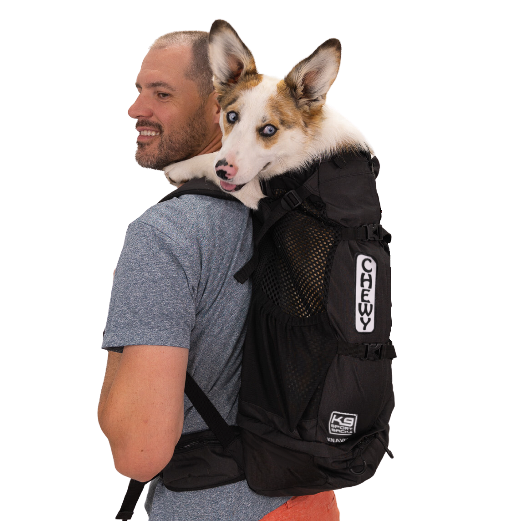 K9 Sport Sack - K9 Sport Sack® Knavigate: Large (20"-23" from collar to tail) / Midnight Black
